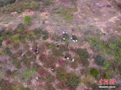 （乡村行·看振兴）桂东村